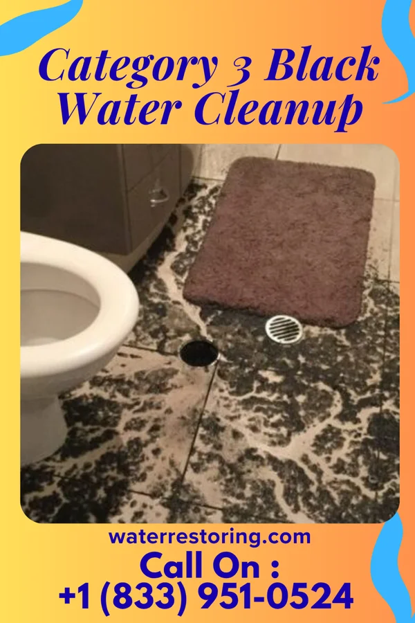 Category 3 Black Water Cleanup in West Reading, PA