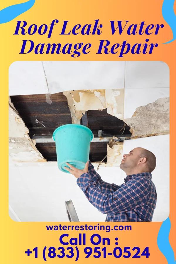 Roof Leak Water Damage Repair in West Reading, PA