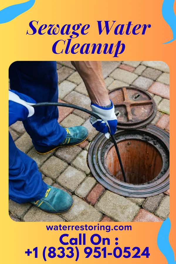 Sewage Water Cleanup in West Reading, PA